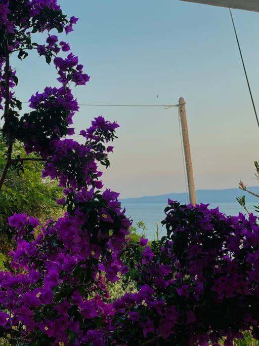 A Fringe Of Blue